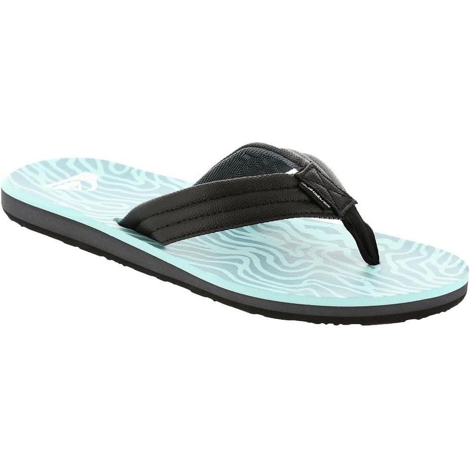 imageQuiksilver mens Carver Print SandalBlue 7 241