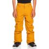 Quiksilver Estate Kids Snowboard Pants(Buckthorn Brown)