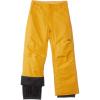 Quiksilver Estate Kids Snowboard Pants(Mineral Yellow)