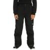 Quiksilver Estate Kids Snowboard Pants(True Black 1)
