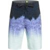 Quiksilver Men’s Everyday 20″ Board Shorts(Jacaranda (Hi Homegrown Faded))