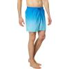 Quiksilver Mens Men’s Everyday Fade 17 Volley Boardshort Swim Trunk(Snorkel Blue)