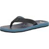 Quiksilver mens Carver Print Flip Flop Sandal(Blue 5)