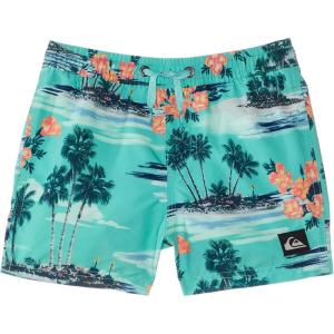 Quiksilver Boys Everyday Mix Volley (Little Kids)(Blue)