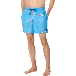 Quiksilver Mens Everyday Patriot Volley 17 Volley Swim Trunk Bathing SuitBoard Shorts(Azure Blue 233)