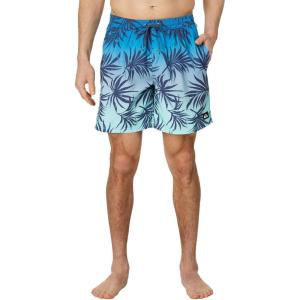 Quiksilver Mens Everyday Patriot Volley 17 Volley Swim Trunk Bathing SuitBoard Shorts(Blue Fog 241)