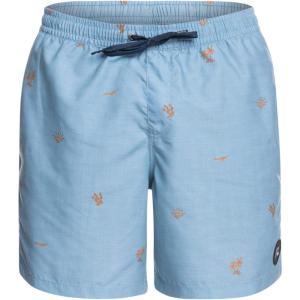 Quiksilver Mens Everyday Patriot Volley 17 Volley Swim Trunk Bathing SuitBoard Shorts(Classic Volley/Captains Blue)