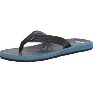 Quiksilver mens Carver Print Flip Flop Sandal(Blue 5)