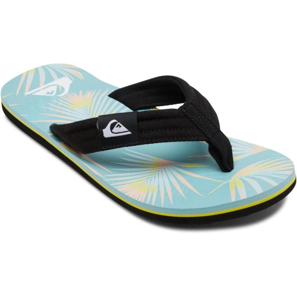 image:imageQuiksilver mens Left CoastaBlue 2