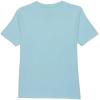 Quiksilver Big Boys Everyday Logo Core Short Sleeve T-Shirt, Sky Blue, Large