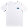 Quiksilver Boys (8-16) Classic Regular Fit Tees(Radical Roots/White)