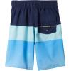Quiksilver Boys Boy’s Everyday Panel 14 Boardshort Swim Trunk Bathing Suit(Naval Accademy 233)