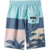 Quiksilver Boys Boy’s Everyday Panel 14 Boardshort Swim Trunk Bathing Suit(Pastel Turquoise 233)