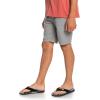 Quiksilver Boys Everyday Chino Light YTH Walk Shorts(Light Grey Heather (Sjsh))