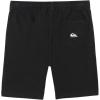 Quiksilver Boys’ Taxer Short (Big Kids)(Black)