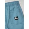 Quiksilver Boys’ Taxer Short (Big Kids)(Niagara)