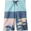 Quiksilver Boys Boy’s Everyday Panel 14 Boardshort Swim Trunk Bathing Suit(Pastel Turquoise 233)