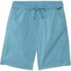 Quiksilver Boys’ Taxer Short (Big Kids)(Niagara)