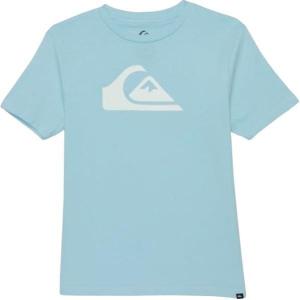 Quiksilver Big Boys Everyday Logo Core Short Sleeve T-Shirt, Sky Blue, Large