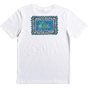Quiksilver Boys (8-16) Classic Regular Fit Tees(Radical Roots/White)