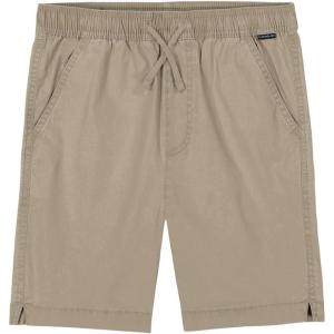 Quiksilver Boys’ Taxer Short (Big Kids)(Brown)