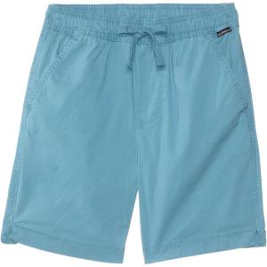 Quiksilver Boys’ Taxer Short (Big Kids)(Niagara)