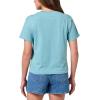 Quiksilver Women’s Reminisce Classic Graphic T-Shirt(Cameo Blue)