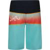 Quiksilver Boys Boardshorts with UPF 50+ Sun Protection, Quick Dry Swim Shorts(Aqua Everyday Panel)