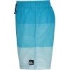 Quiksilver Boys Volley Swim Trunks with UPF 50+ Sun Protection, Quick Dry Bathing Suit Shorts(Blue Horizon)