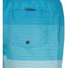Quiksilver Boys Volley Swim Trunks with UPF 50+ Sun Protection, Quick Dry Bathing Suit Shorts(Blue Horizon)