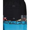 Quiksilver Boys Volley Swim Trunks with UPF 50+ Sun Protection, Quick Dry Bathing Suit Shorts(Wordblock)