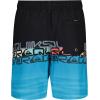 Quiksilver Boys Volley Swim Trunks with UPF 50+ Sun Protection, Quick Dry Bathing Suit Shorts(Wordblock)