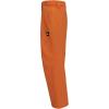 Quiksilver boys Heavyweight Ski Snow Estate Pant, Insulated & Waterproof(Amberglow Estate)