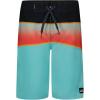 Quiksilver Boys Boardshorts with UPF 50+ Sun Protection, Quick Dry Swim Shorts(Aqua Everyday Panel)