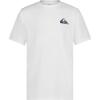 Quiksilver Boys Short Sleeve Rashguard Surf Shirt with UPF 50+ Sun Protection, Kid’s Swim Top(White)
