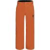 Quiksilver boys Heavyweight Ski Snow Estate Pant, Insulated & Waterproof(Amberglow Estate)
