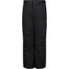 Quiksilver boys Heavyweight Ski Snow Estate Pant, Insulated & Waterproof(Estate Black)