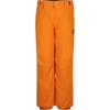 Quiksilver boys Heavyweight Ski Snow Estate Pant, Insulated & Waterproof(Estate Orange Pepper)