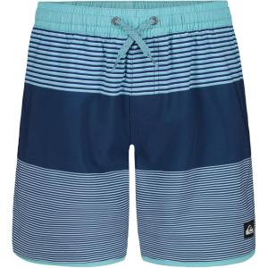 Quiksilver Boys Volley Swim Trunks with UPF 50+ Sun Protection, Quick Dry Bathing Suit Shorts(Blue Surfsilk Tj)