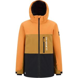 Quiksilver boys Heavyweight Ski Snow Hooded Jacket, Insulated & Waterproof(Amberglow)