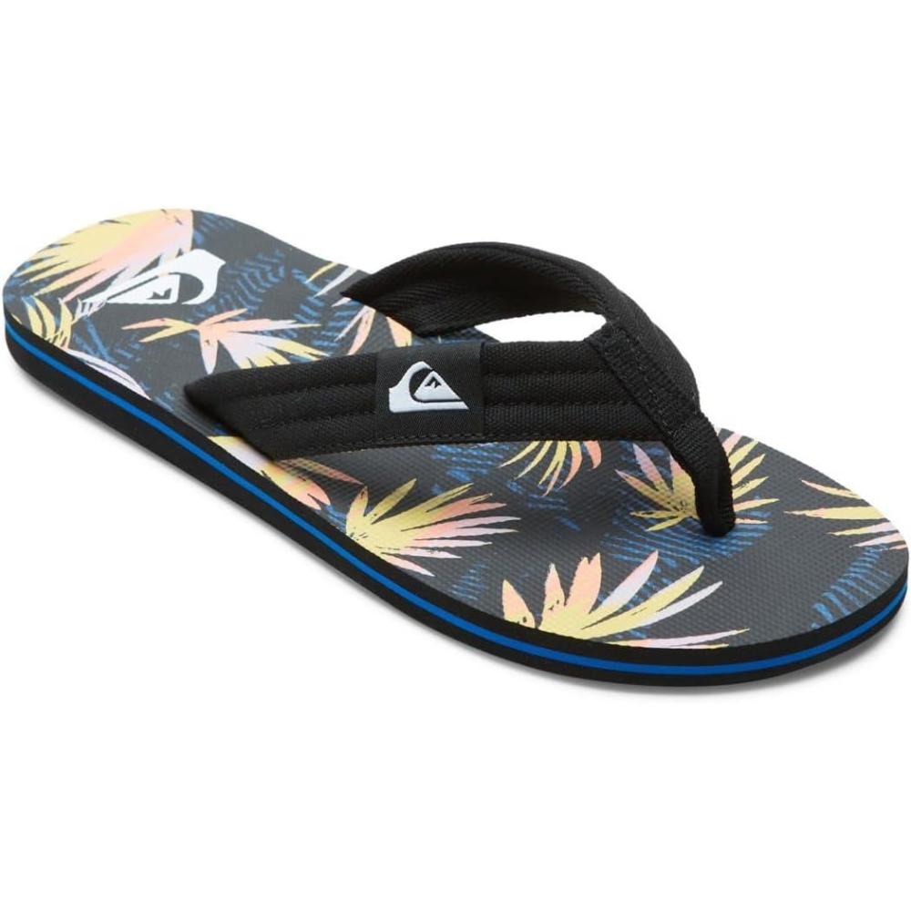 image:imageQuiksilver Mens Flip FlopBlack Blue Pink