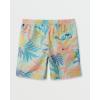 Quiksilver – Mens Everyday Mix Volley 17 Nb Shorts(Jad)