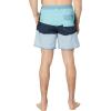 Quiksilver 17″ Surfsilk Tijuana Volley Shorts(Blue Shadow)