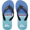 Quiksilver Boy’s Molokai Art Flip Flop Youth(Black Blue)