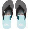 Quiksilver Men’s Flip Flop(Blazer Navy)
