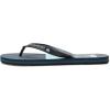 Quiksilver Mens Flip Flop(Blue/Grey)