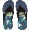Quiksilver Men’s Flip Flop(Multicolour Black Blue Green Xkbg)