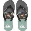 Quiksilver Men’s Flip-Flop Sandal(Black/Green)