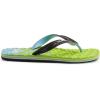 Quiksilver mens Flip Flop(Green 1)