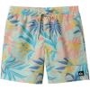 Quiksilver – Mens Everyday Mix Volley 17 Nb Shorts(Jad)